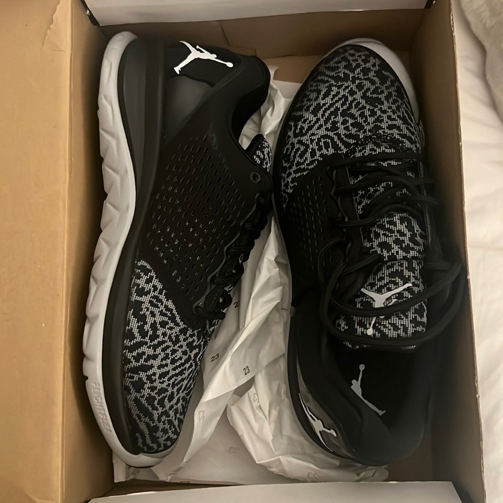 Air Jordan Trainer St Shoe